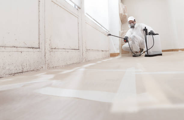 24/7 Emergency Mold Inspection experts in Hendersonville, NC